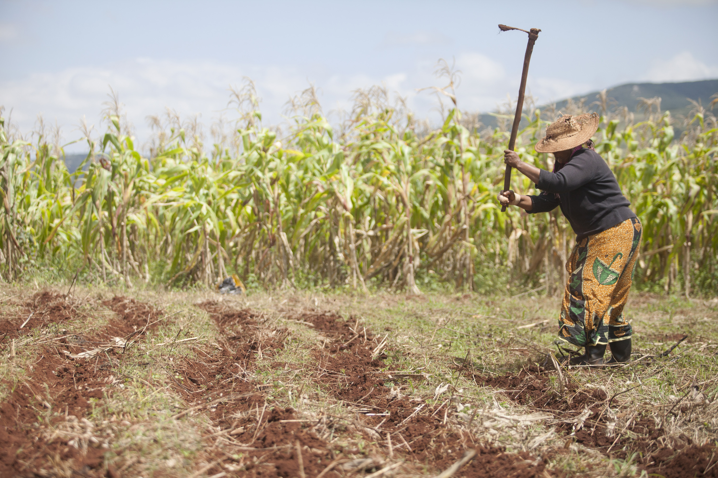 Family Farming and Farmers&#039; Rights