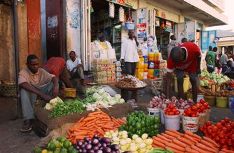 Working together on the sustainable use of Agrobiodiversity - Image