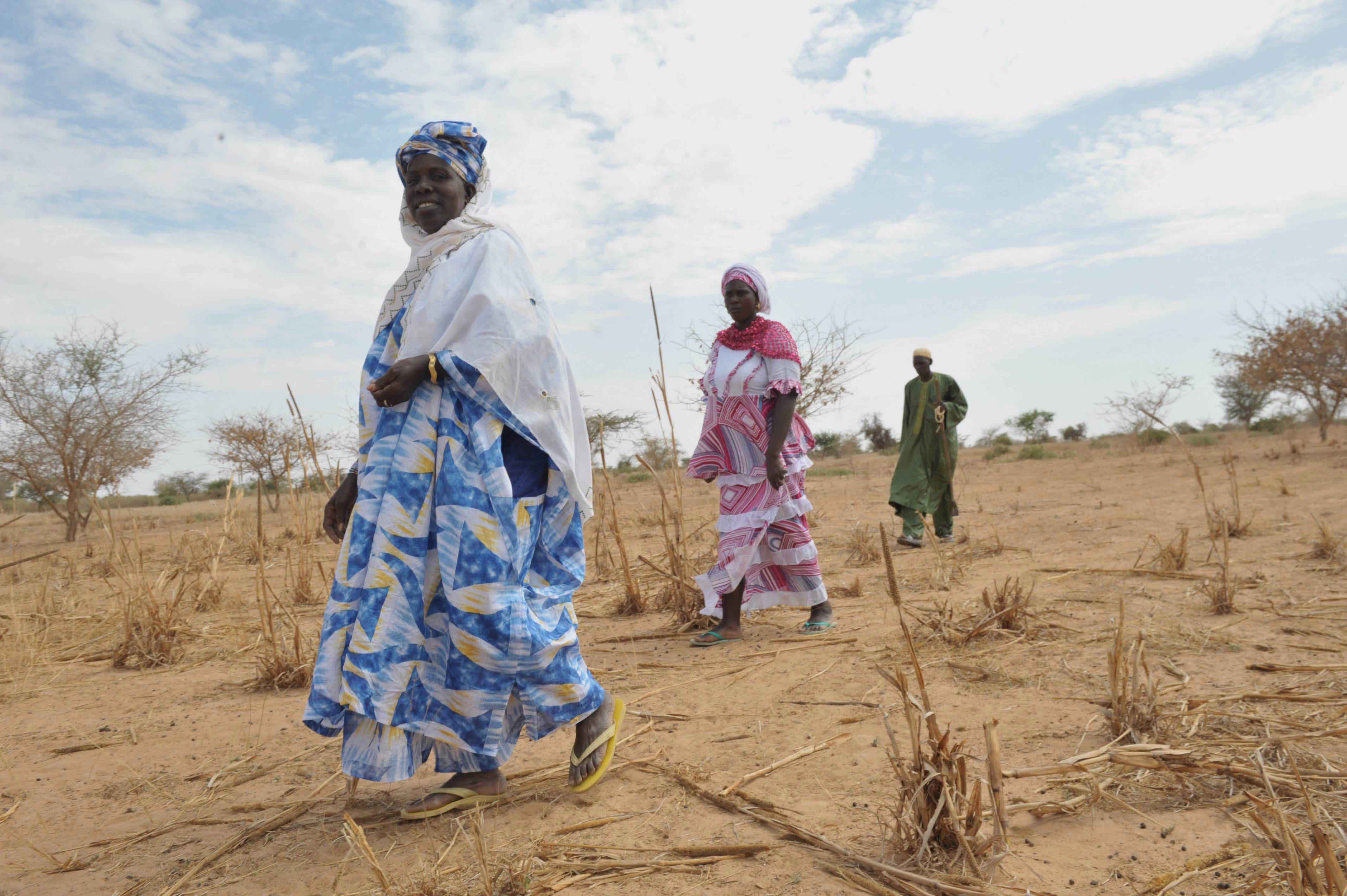 CGIAR Research Program 