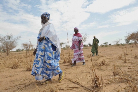 CGIAR Research Program on Dryland Agricultural Production