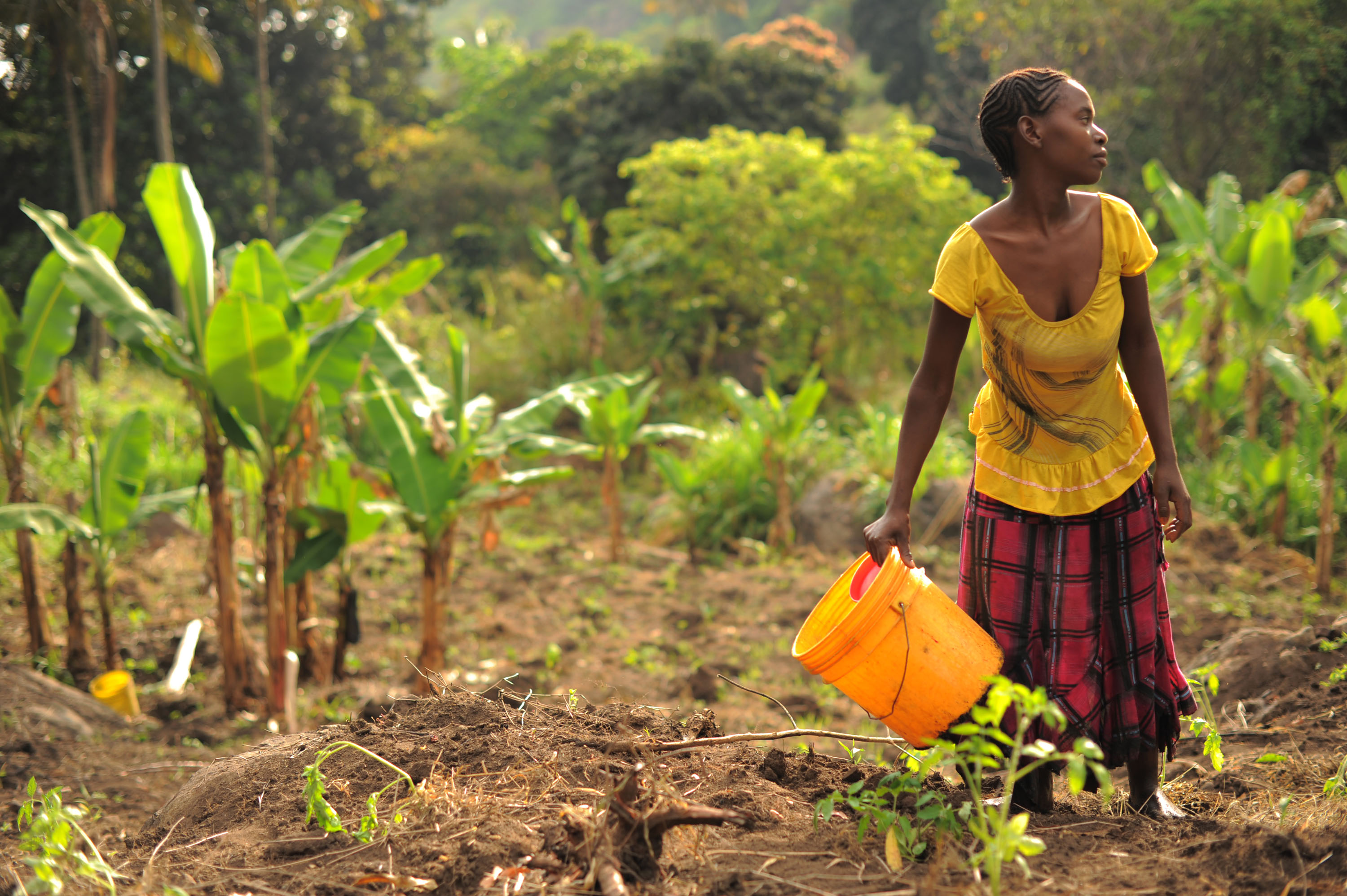 UN Climate Summit Takes Steps to Ensure Food 