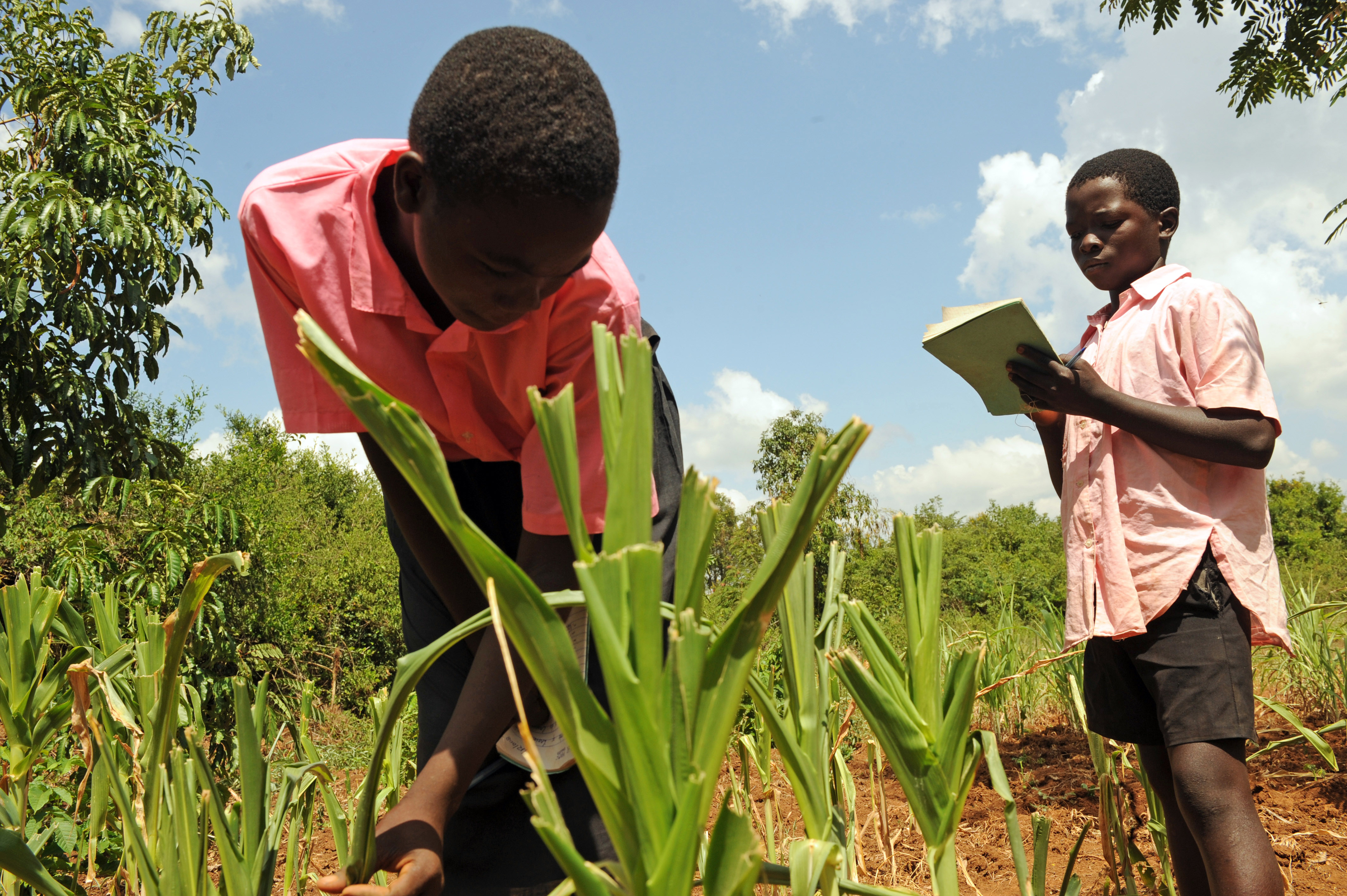 Why Agriculture Needs Young People