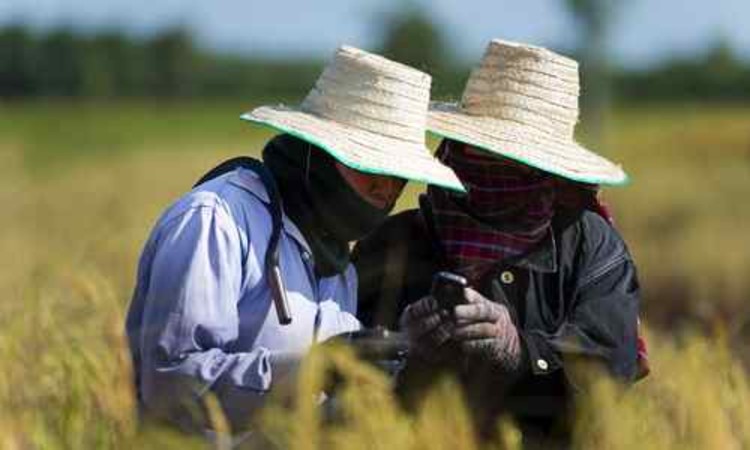 How Smallholder Farmer Access to ICTs are Improving Farming