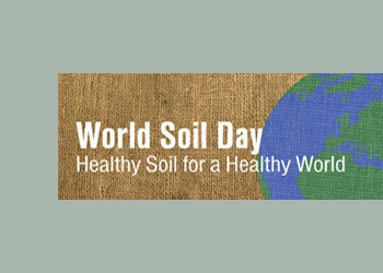 Healthy soil: the foundation for healthy people and landscapes