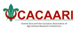 cacaari