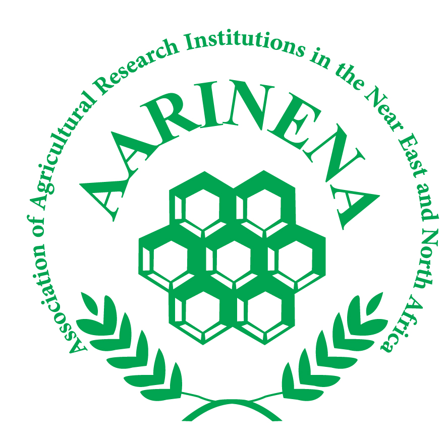 aarinena