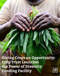crop_launches