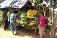 Impact assessment of agricultural research - An FAO e-mail conference