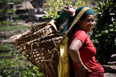 Women’s Empowerment in Agriculture, Production Diversity and Nutrition