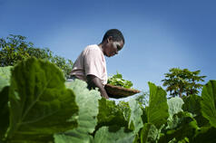 Operationalising an EU Approach to Research and Innovation for Sustainable Agriculture and Food and Nutrition security