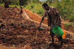 Don&#039;t Forget Family Farmers in the Battle Against Climate Change at COP 20