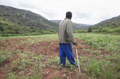 An international competitive selection for the Development of the Two Professional Degree Programs on Food Security