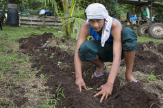 FAO e-mail conference on Rural Advisory Services for Family Farms