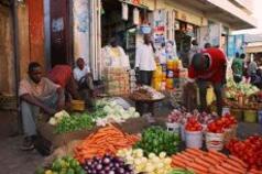 Working together on the sustainable use of Agrobiodiversity - Image