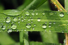 GCHERA World Agriculture Prize 2015 – Call for Nominations