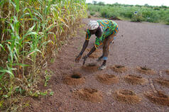 Program Officer, Rural Finance and Risk Job - Bill &amp; Melinda Gates Foundatio