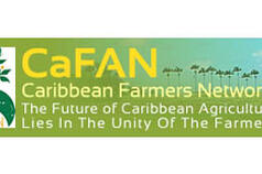 Caribbean Farmers Network young leaders&#039; blogs