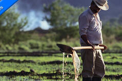 Call for articles: Making good use of scarce water