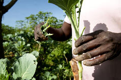 International Farmer Innovation Day