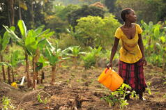 Partners’ Meeting for the Global Alliance on Climate-Smart Agriculture