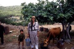 Does the feminisation of agricultural labour empower women? Insight from female labour contractors and workers in northwest Syria