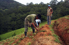 A national policy of seeds recognizing farmers’ rights