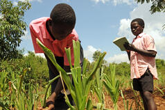 Why Agriculture Needs Young People