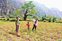 [Collaboration and technology can help smallholder farmers’ increase their prod]