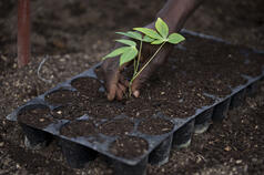 Update: GFAR Global Foresight Hub in 2013 - Activities and achievements