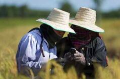 How Smallholder Farmer Access to ICTs are Improving Farming