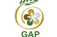 Minutes of the Teleconference on the Gender in Agriculture Partnership (GAP)