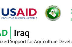 Progress of the HSAD initiative in Iraq