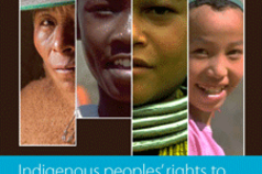 Indigenous peoples’ rights to lands, territories, and resources