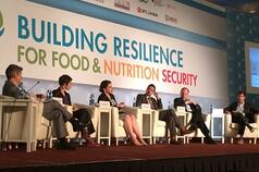 IFPRI 2020 Conference: Building Resilience for Food and Nutrition Security