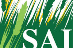 SAI platform logo