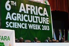 New ways forward in Africa: FARA Africa Agriculture Science Week