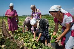 The voice of civil society in climate smart agriculture