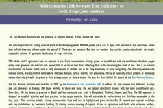 Addressing the Link between Zinc Deficiency in Soils, Crops, and Humans