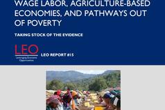 Wage Labor, Agriculture-Based Economies, and Pathways out of Poverty