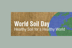 Healthy soil: the foundation for healthy people and landscapes